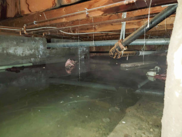 Best Water damage restoration near me  in Hummelstown, PA