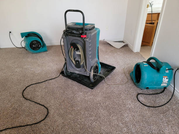 Best Carpet water damage restoration  in Hummelstown, PA