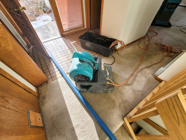 Best Mold removal after water damage  in Hummelstown, PA