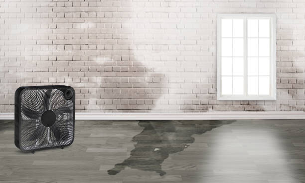Best Fire Damage Restoration  in Hummelstown, PA
