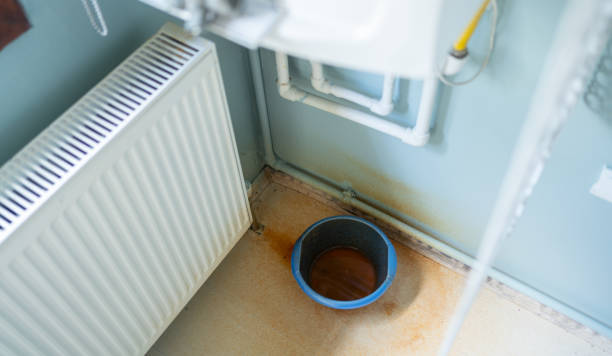 Best Water damage restoration specialists  in Hummelstown, PA