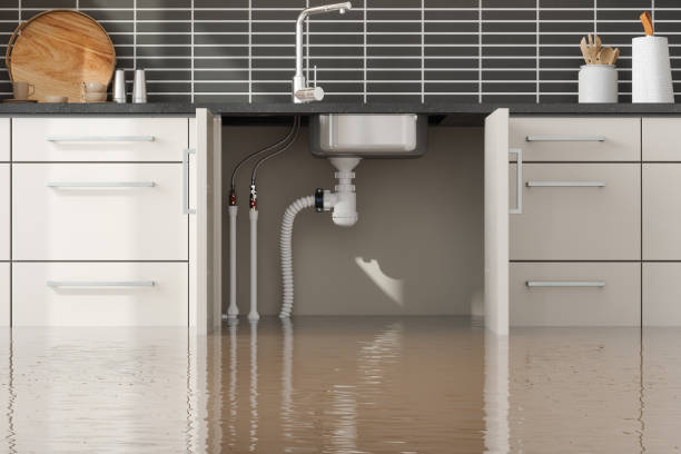 Best Water damage mitigation services  in Hummelstown, PA