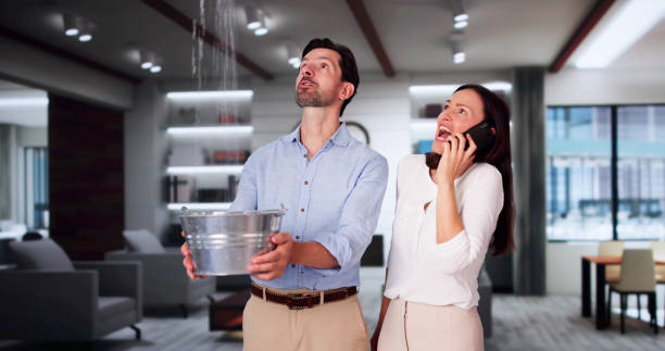 Best Professional water damage repair  in Hummelstown, PA